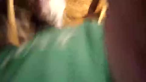    RICHY    online show from 04/12/26, 11:26