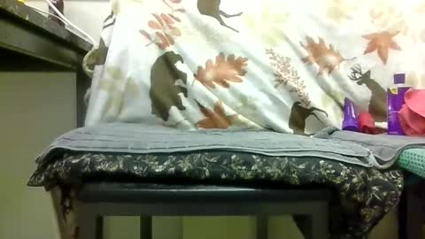 Daddy online show from 02/13/26, 06:59