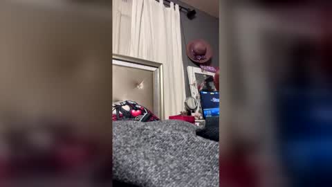 Snapshot of sexybbwqueen83 chatting on 12/17/25, 08:31 sexybbwqueen83 online show from 12/17/25, 08:31