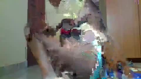 Snapshot of sexybilha483 chatting on 02/22/25, 11:57 Sexybilha483 online show from 02/22/25, 11:57