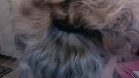 SexyFit58 online show from 12/15/24, 01:57