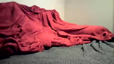 sexygg8331 online show from 12/16/24, 01:10