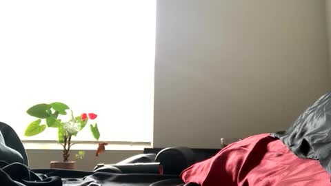 sexyhornyman1993 online show from 06/02/26, 05:59