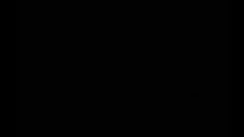 In the night in South America online show from 02/25/25, 09:42