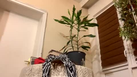 Anya online show from 01/22/25, 08:17