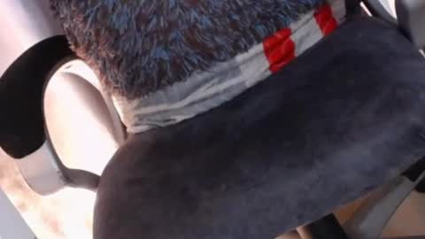 Snapshot of sexyshemale4uxxx chatting on 02/07/25, 05:10 online show from 02/07/25, 05:10