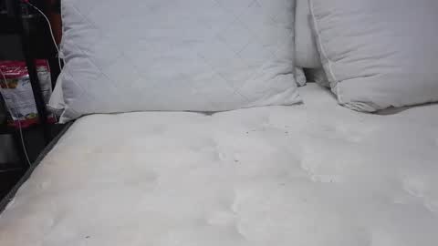 sexystephanie04 online show from 04/13/26, 10:26