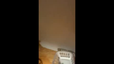 Smooth bi guy online show from 02/11/26, 07:02