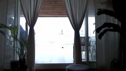 Arda online show from 04/11/26, 11:14