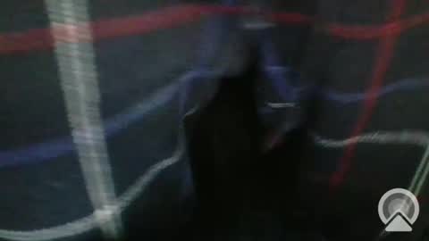 sgtcumhardjaxfl online show from 02/06/25, 06:02