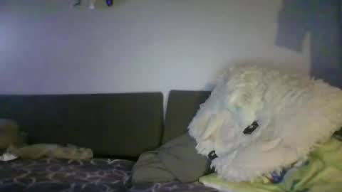 shafte1981 online show from 06/02/26, 10:01