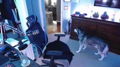 Snapshot of shaftyone4u chatting on 01/16/25, 09:40 shaftyone4u online show from 01/16/25, 09:40