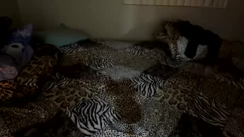 Shaman Woman online show from 12/06/24, 02:57