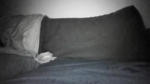 Shorty online show from 12/17/25, 06:14