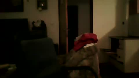 Snapshot of shaomy711 chatting on 01/25/25, 06:02 excelo21 online show from 01/25/25, 06:02