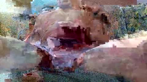 Snapshot of shaomy711 chatting on 10/26/25, 07:14 excelo21 online show from 10/26/25, 07:14