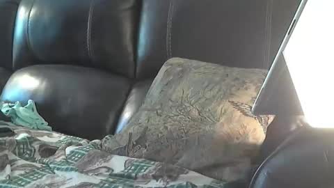 Sharkey644 online show from 03/26/26, 03:28