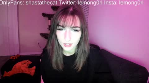 Snapshot of shastathecat chatting on 12/05/24, 01:47 Shasta online show from 12/05/24, 01:47