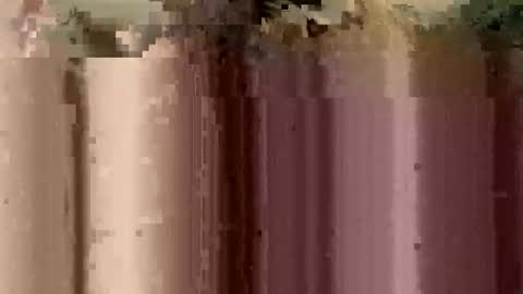 sheablo33 online show from 12/17/25, 02:39