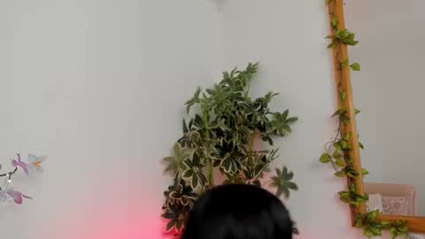 Snapshot of shegoblake chatting on 09/22/25, 09:50 Shego online show from 09/22/25, 09:50