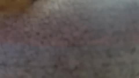 Erika online show from 02/25/25, 09:24