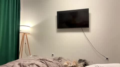 Eve online show from 04/02/26, 08:17