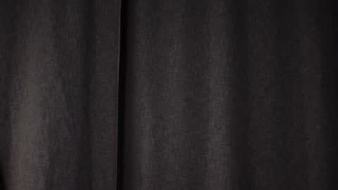 Iris online show from 01/31/25, 08:22