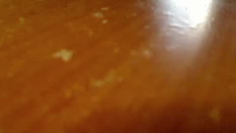 shieldmetoday online show from 02/26/26, 11:37