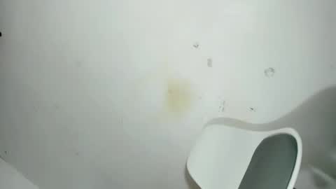 Shivani online show from 12/21/25, 03:57