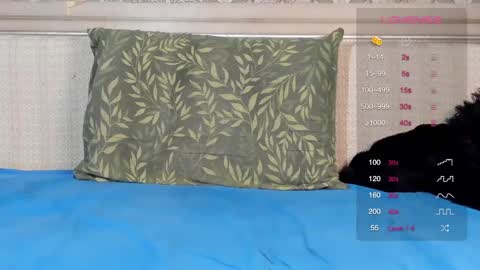 Oleg online show from 03/01/25, 07:04