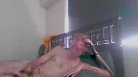 Snapshot of showmen101 chatting on 12/20/25, 12:40 JustAbitCheeky online show from 12/20/25, 12:40