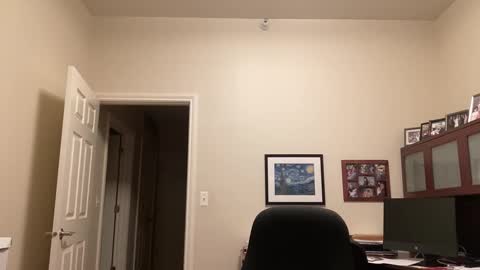 Chicago Guy online show from 01/12/25, 03:17