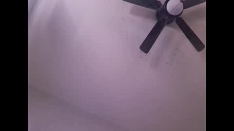 showuthed online show from 04/20/26, 01:19