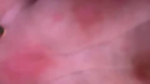 shurd7 online show from 04/22/26, 11:06