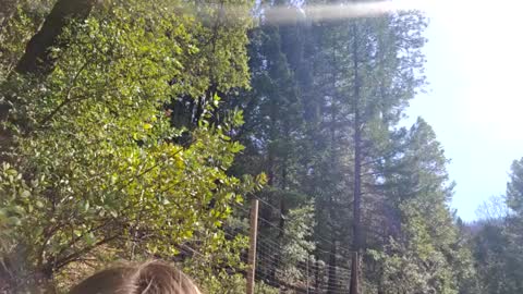 Aurora Wolfe  Shy College Girl  Top 16 of all OF Creators online show from 02/10/25, 09:47