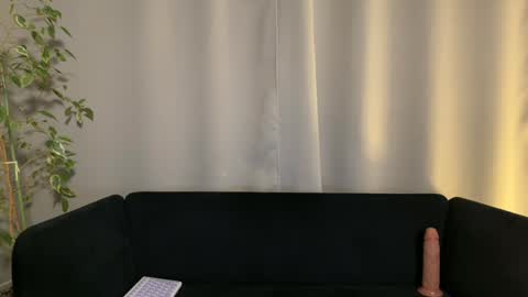 Amelia online show from 01/31/25, 07:08