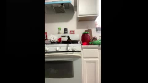 shyyyguyyy59 online show from 10/08/25, 04:26