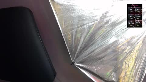 Sienna online show from 02/05/26, 12:10