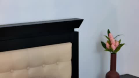 Snapshot of sierra_halle chatting on 03/12/25, 02:52 SIERRA online show from 03/12/25, 02:52