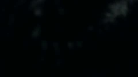 Silkey online show from 12/10/24, 01:22