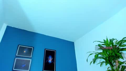 silvabranko online show from 11/09/25, 01:04