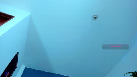 silvabranko online show from 11/09/25, 11:03