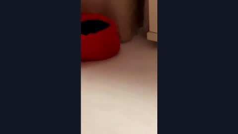 silvia998 online show from 03/21/26, 09:07