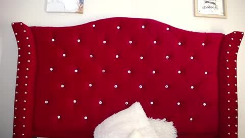 silvia_ls online show from 02/16/25, 04:42