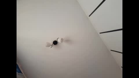 simpledi online show from 03/10/25, 07:42