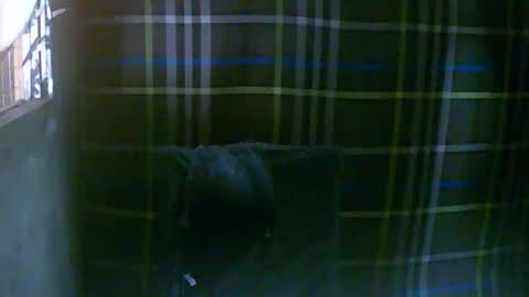 Snapshot of simply__me chatting on 02/16/26, 12:07 simply__me online show from 02/16/26, 12:07