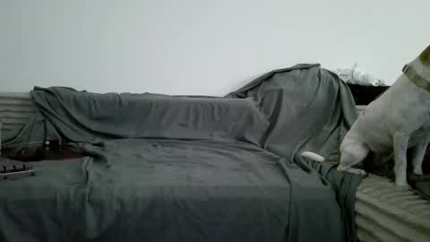 sircheese69x2 online show from 06/06/26, 08:19
