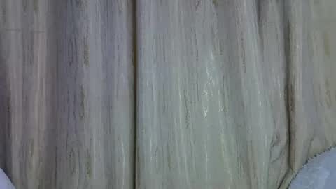 shannie online show from 12/03/25, 12:07