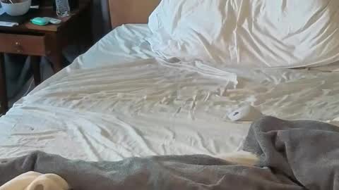 Snapshot of sissydensib chatting on 04/18/26, 12:03 Sissy Submissive online show from 04/18/26, 12:03