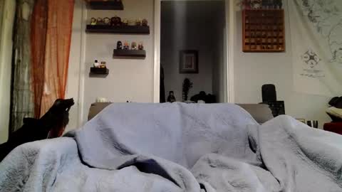 Snapshot of sissyemmalauren chatting on 11/13/25, 11:14 sissyemmalauren online show from 11/13/25, 11:14